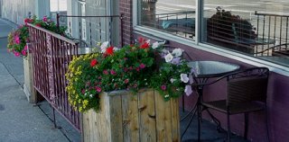 Open air seating at the Europa Bistro.