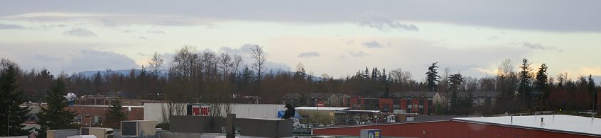 It could have been a crow or a baby raven on the light standard outside our hotel window in Bellingham, Washington.