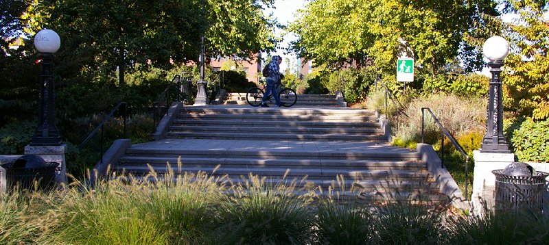 Cal Anderson Park on Capitol Hill in Seattle, Washington - Photo Image.