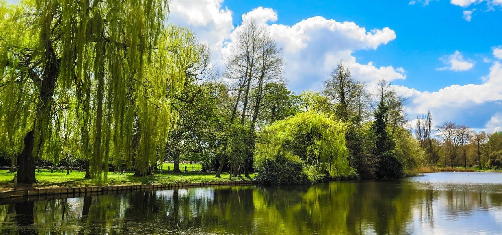 Runnymede by the Thames near where the Magna Carta was signed.