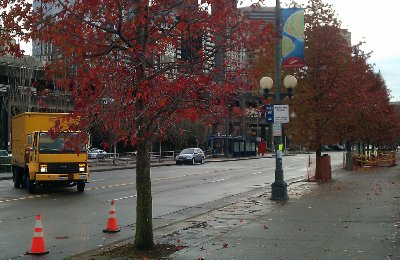 Fall in Seattle along Alaskan Way.