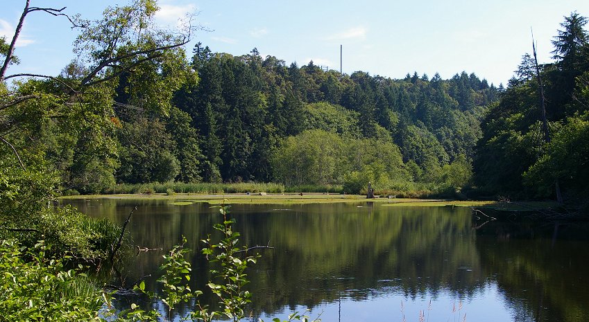 Chambers Creek in University Place, Washington.