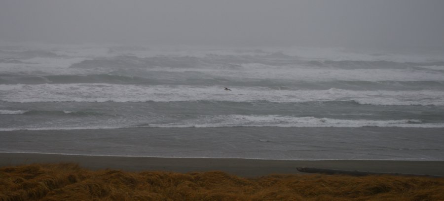 A winter storm beachscape in Ocean Shores Washington.