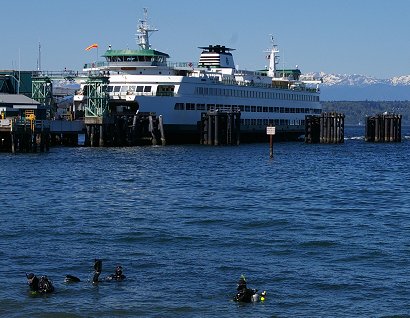 SCUBA divers and the Kingston Ferry in Edmonds, Washington.