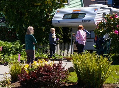 A plant sale in Edmonds, Washington.