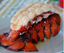 Excellent lobster at the Snoqualmie Casino.