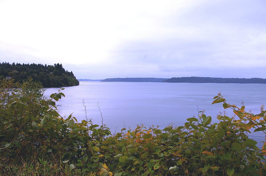 Dumas Bay in Federal Way, Washington - image.