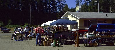 The Nisqually Delta Shelton Geoduck Adventure - photo.