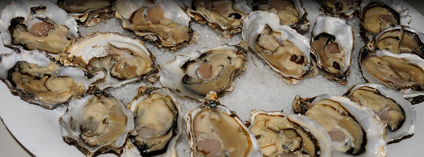 OysterFest Shelton, Washington - photo.