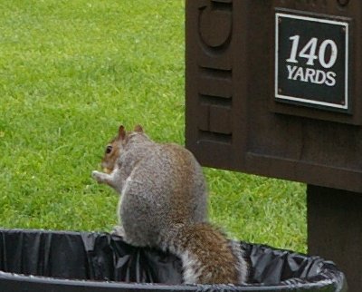 Some of the wildlife at High Cedars in Orting, Washington.