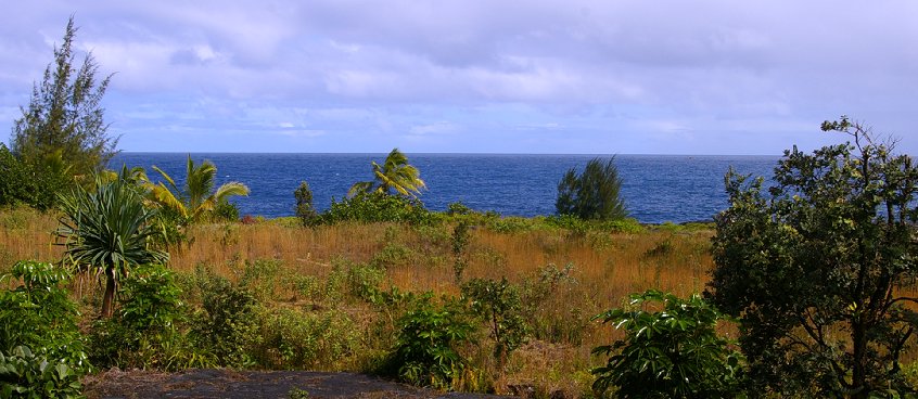 Peg taking in the view from atop the lava cliffs in front of the House of the Deep Blue Sea in Paradise Park, Puna District - Photo.