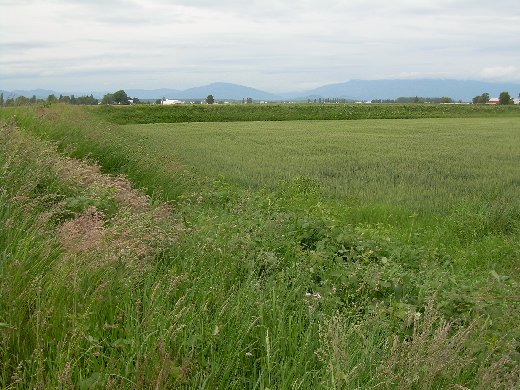 Skagit Valley.
