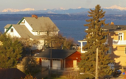 Old Madrona and scenic view - 2016 - Tacoma - image.