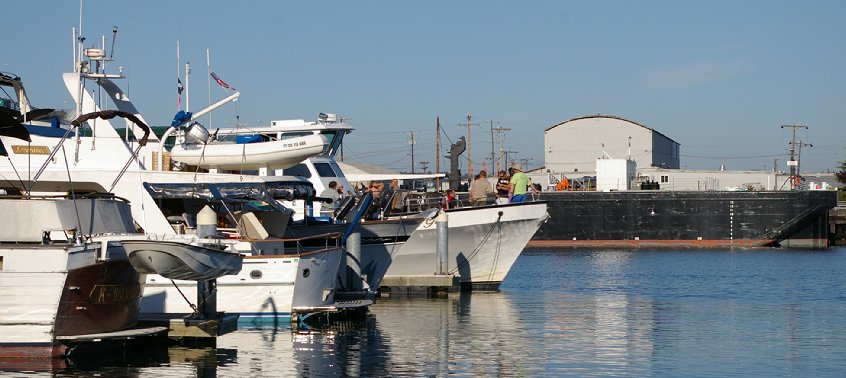 My Girl Charter Boat Saturn Barter Social, may girl charter boat olympia tacoma seattle, My Girl Charter Boat Saturn Barter Social tacoma wa washington.