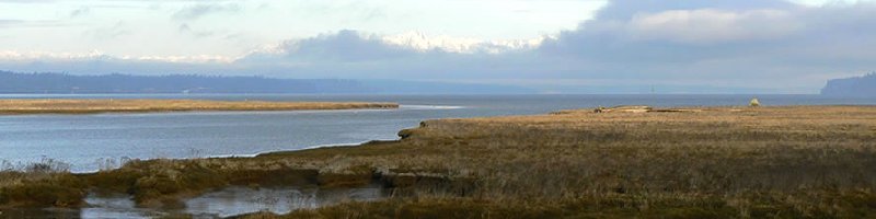 Nisqually Delta