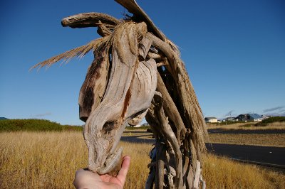 The driftwood horse sculpture in Ocean Shores, Washington.