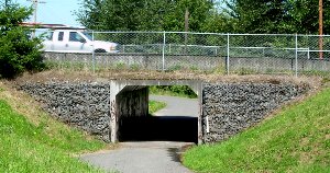 Cute little tunnel
 near the Tayberry.