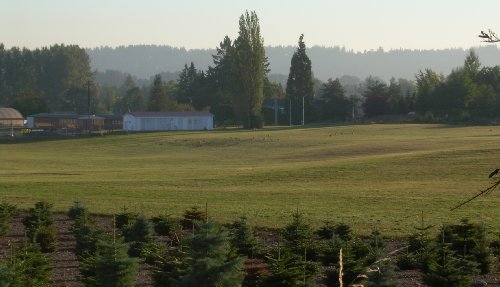 The view from the
 Tayberry.