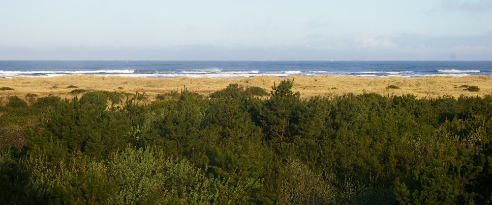 Puget Sound Construction Recycling at Quinault Beach Resort and Casino Ocean Shores - image.