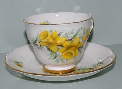 A daffodil teacup at our cute little cottage in Sumner, Washington.