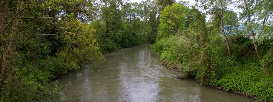 The view from the copper bridge of the White River in Sumner, Washington.