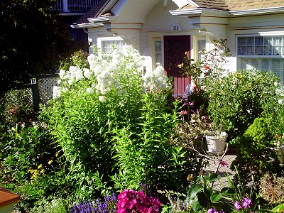 A beautiful cottage and lovely flowered yard in Tacoma, Washington - Photo.