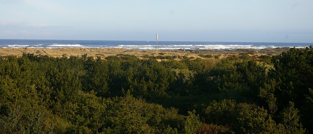 Ocean Shores beach near Viet Hoa Asian Restaurant Ocean Shores - image.