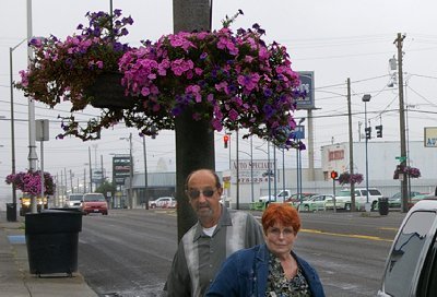 Hanging flower baskets along South Tacoma Way in Tacoma, Washington.