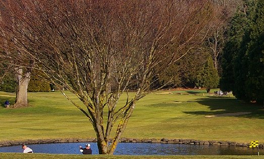 Golfing going on during the meeting - image.