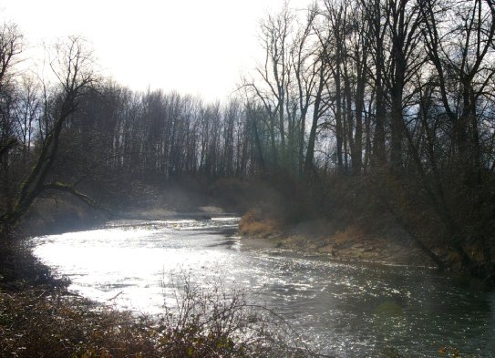 The Green River in Auburn - image.