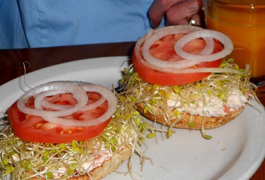 Toasted bagel, sprouts, and cream cheese from the Antique Sandwich Company in Ruston  - image.