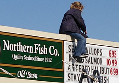 Northern Fish in Tacoma, Washington.