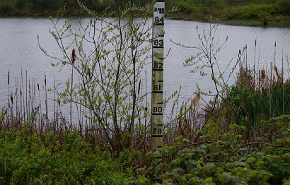 A pond across the street from the Kit Carson Family Restaurant in Chehalis, Washington.