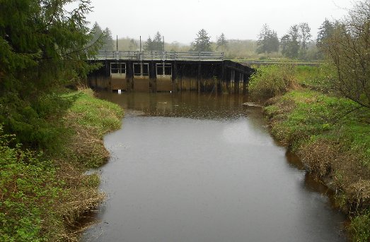 A slough in the town of Cosmopolis in Southwest Washington - image.