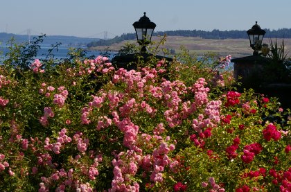 The view from downtown Steilacoom, Washington.