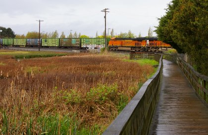 The Educational Marsh in Edmonds, Washington - image.