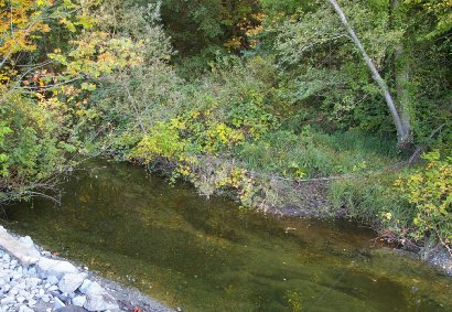 Donkey Creek in Gig Harbor, Washington - image.