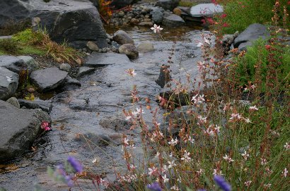 A man-made garden stream at Netshed No.9 in Gig Harbor, Washington - image.