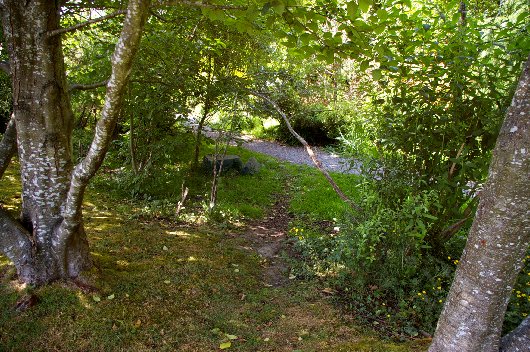 Buckley Gulch Tacoma - image.