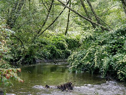 The Samish River north of LaConner, Washington - image.