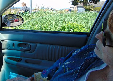 A picnic in Edmonds, Washington - image.