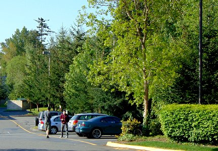 A short cut, back way drive in Lynnwood, Washington - image.