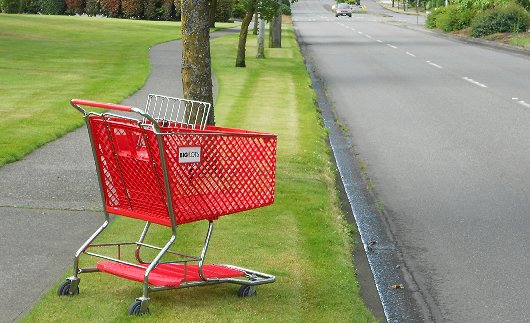 A Big Lots shopping cart on North Pearl in Tacoma - image.