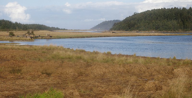 An inlet near Copalis and Cedar Creek - image.