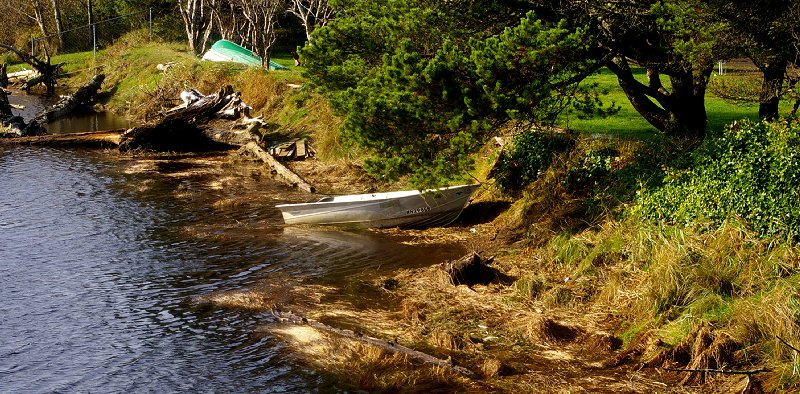 The shore of the inlet near Copalis on Cedar Creek - image.