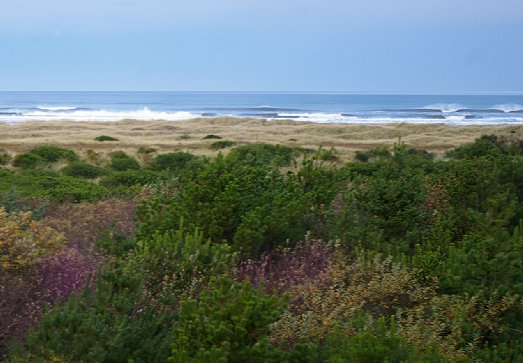 The view from the balcony of The Grey Gull in Ocean Shores - image.