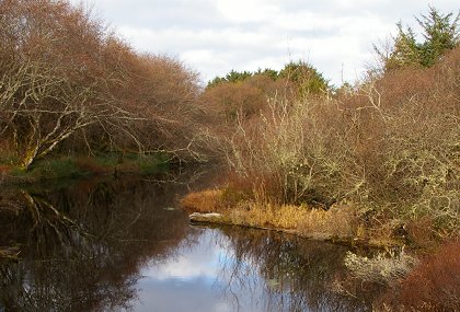 A photograph on a small bridge near Ocean City Park near Ocean Shores, Washington - image.