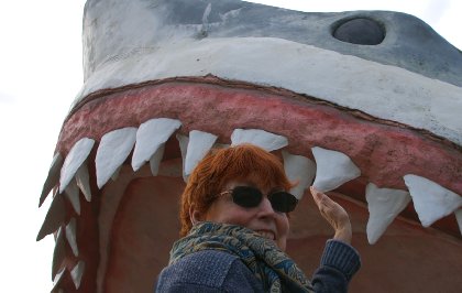 A giant shark at Ocean Shores, Washington - image.