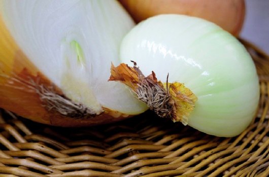 Onions for roast beef hash in Tacoma, Washington - image.