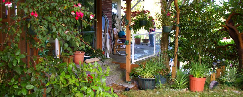 A beautiful summer day in the Pacific Northwest.